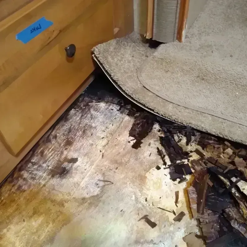 Wood Floor Water Damage in Elyria, OH